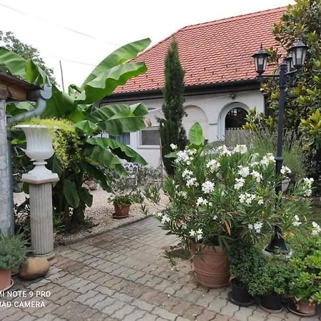 Lavendel Apartman Harkány Esterno foto